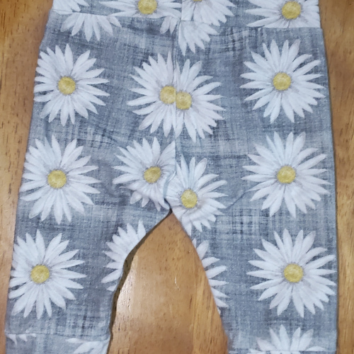 Null Daisy Plants
