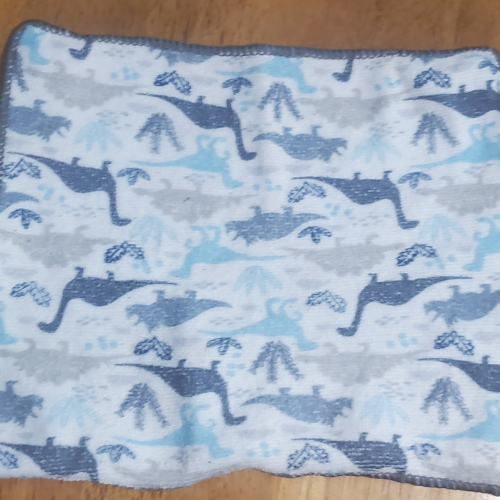 Null Dinosaur Washcloth
